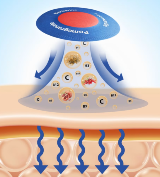 -Purisaki-Berberine-working