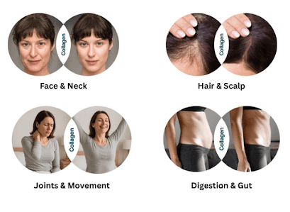 Sculpt Nation Multi-Collagen benefits