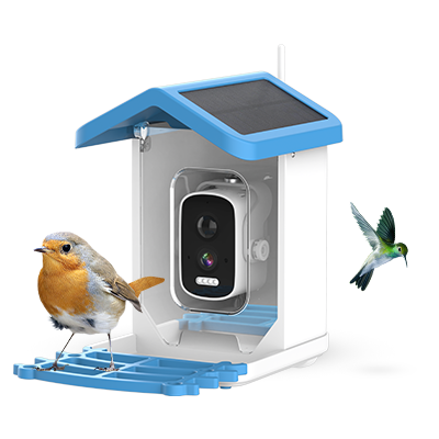 ChirpyCharm benefits