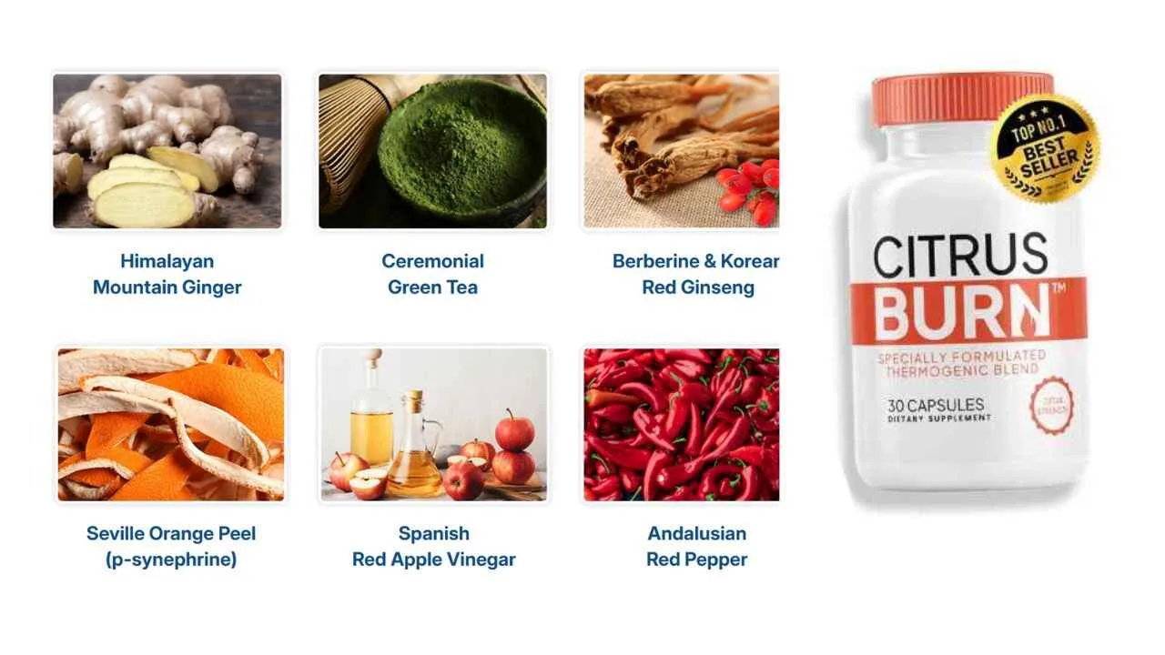 CitrusBurn-Review- ingredients