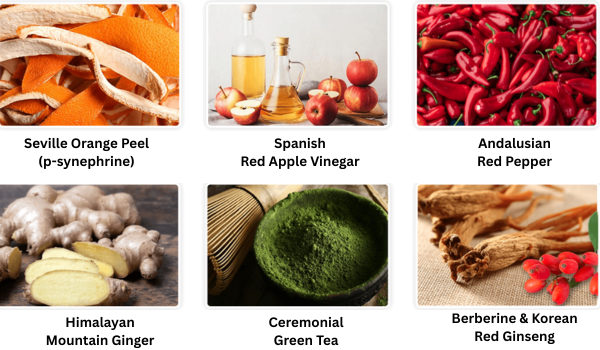 CitrusBurn ingredients