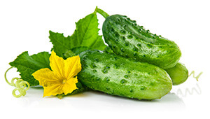 Cucumbers