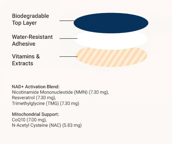 Gentle Patches Nad+ Patches Ingredients
