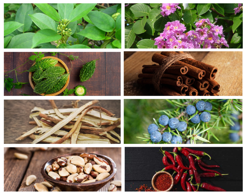 GlucoSwitch ingredients