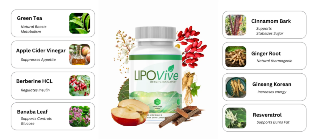 Lipovive ingredients