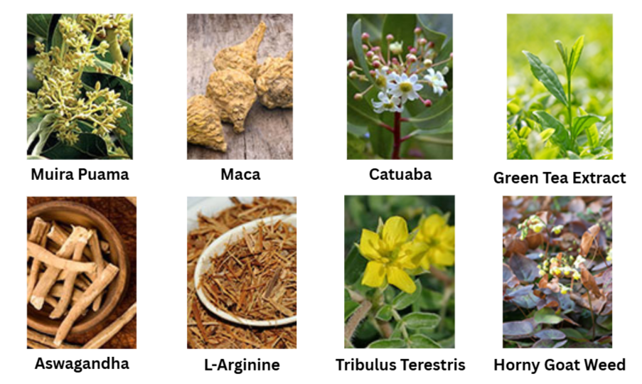 PrimalTRT Ingredients