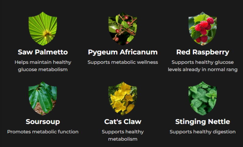 Prosta Defend ingredients