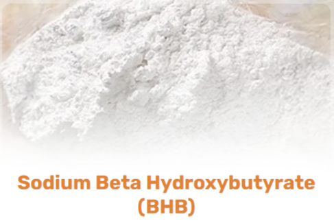Sodium Beta Hydroxybutyrate (BHB)