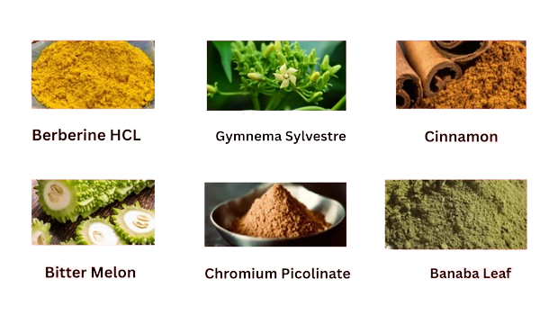 Blood-Armor-Ingredients