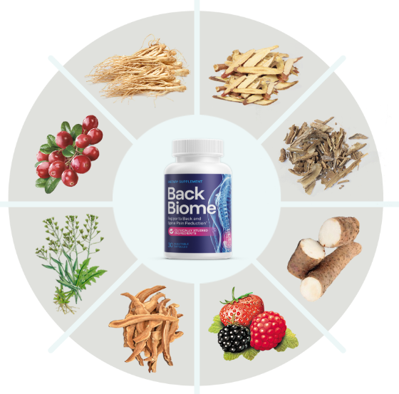 BackBioMe Ingredients