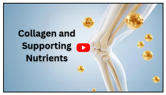 Collagen and Supporting Nutrients