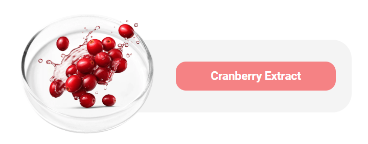 Cranberry - Extract