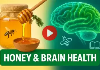 Honey and Brain Health