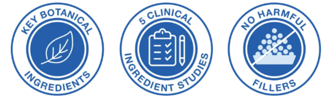 Mindful Advantage batch