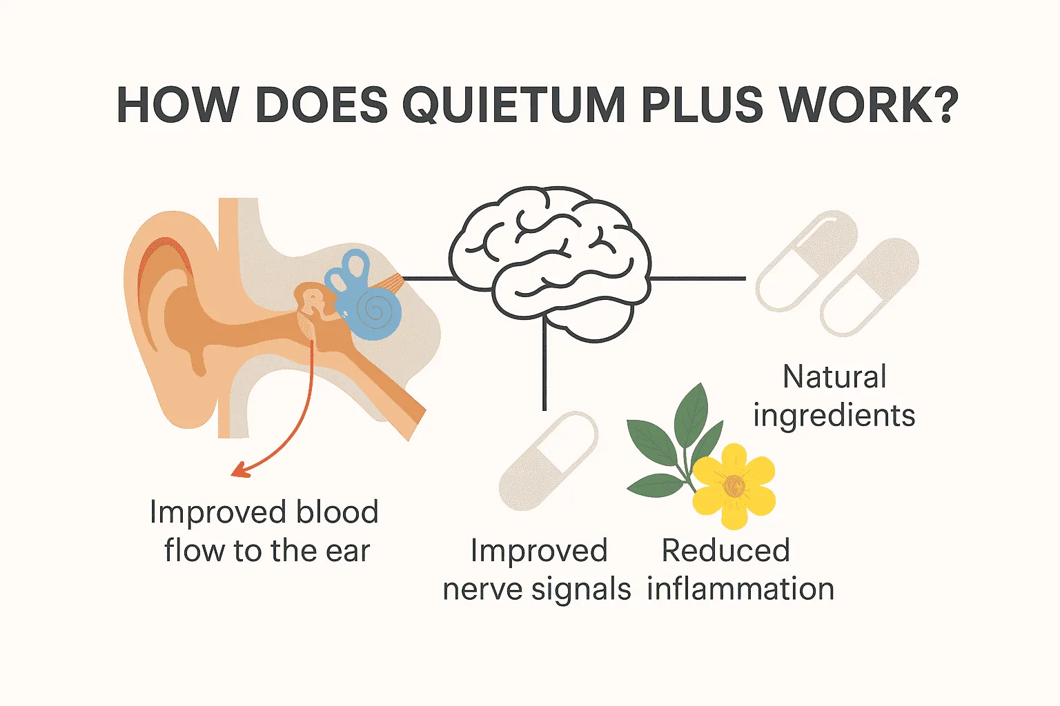 Quietum Plus uses