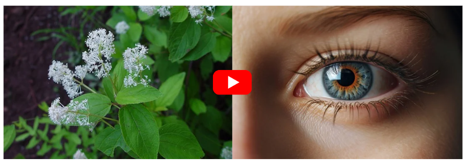 Red Root Eye Trick for Better Vision