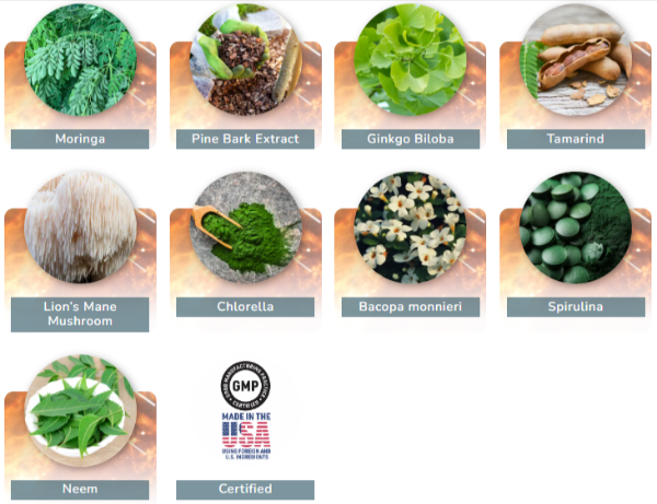 Mindquell ingredients