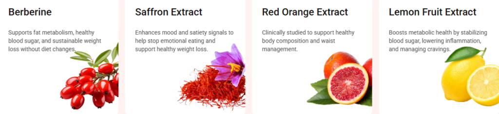 NuraPatch ingredients