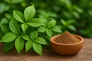 Cinnamon Extract