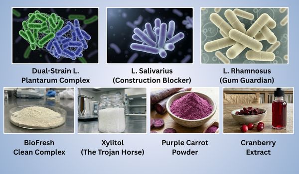 DentaBiome Ingredients