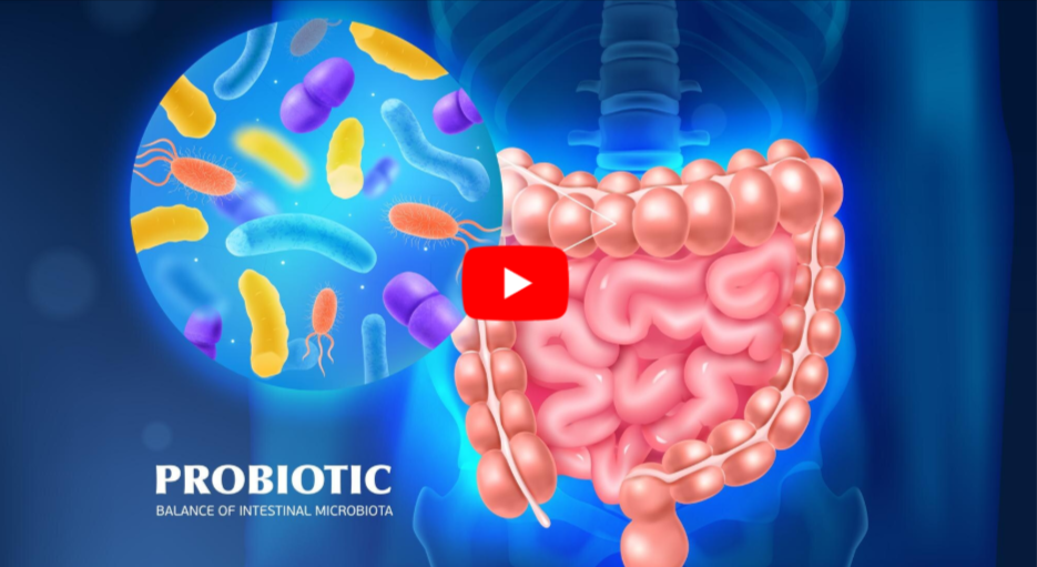 Digestive Enzymes vs Probiotics video