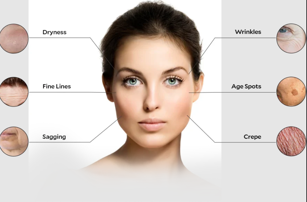 Fiera Cosmetics MoistureWiser benefits