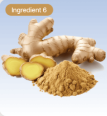 Ginger Root Extract