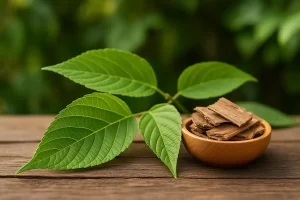 Gynostemma Pentaphyllum Extract