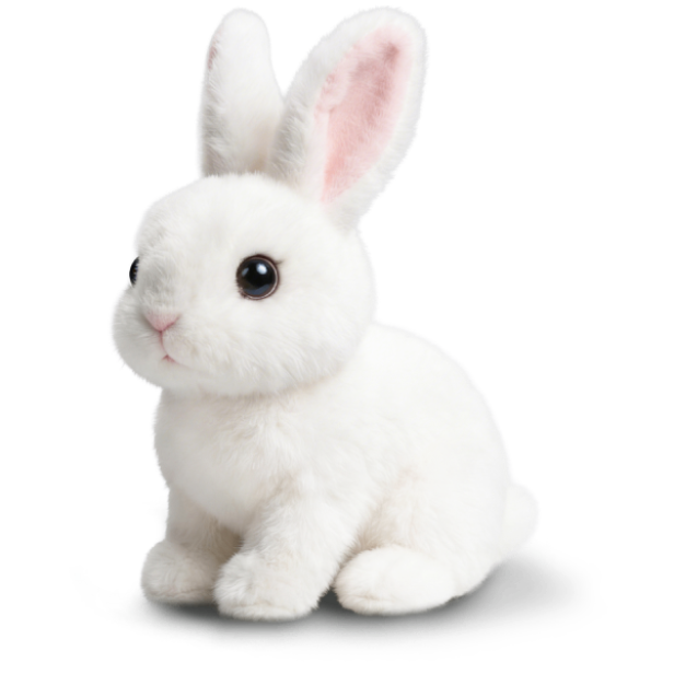 HOPPSY Bunny Toy Reviews