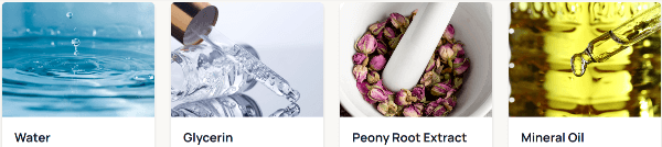 Ozem Patches Ingredients