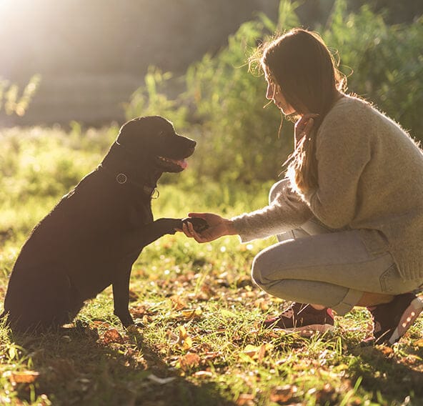 PawPrint Protocol Benefits