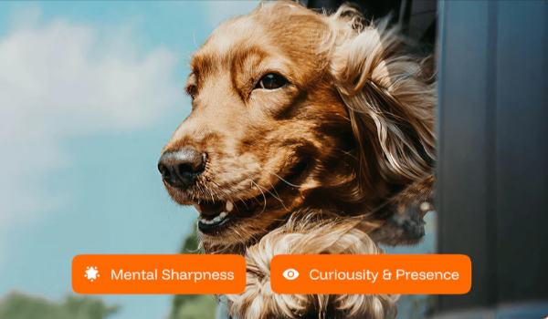 PawPrint Protocol week 3