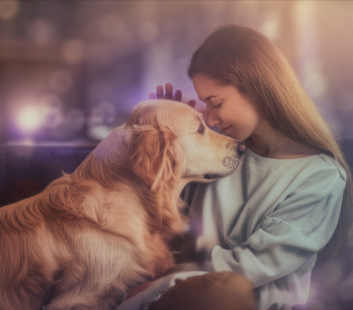 Pet Psychic Reading Benefits