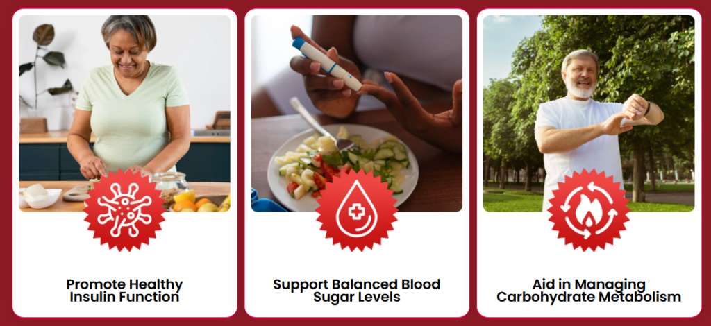 Glyco Harmony Benefits