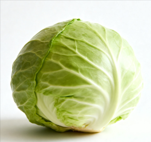 Lactobacillus Acidophilus