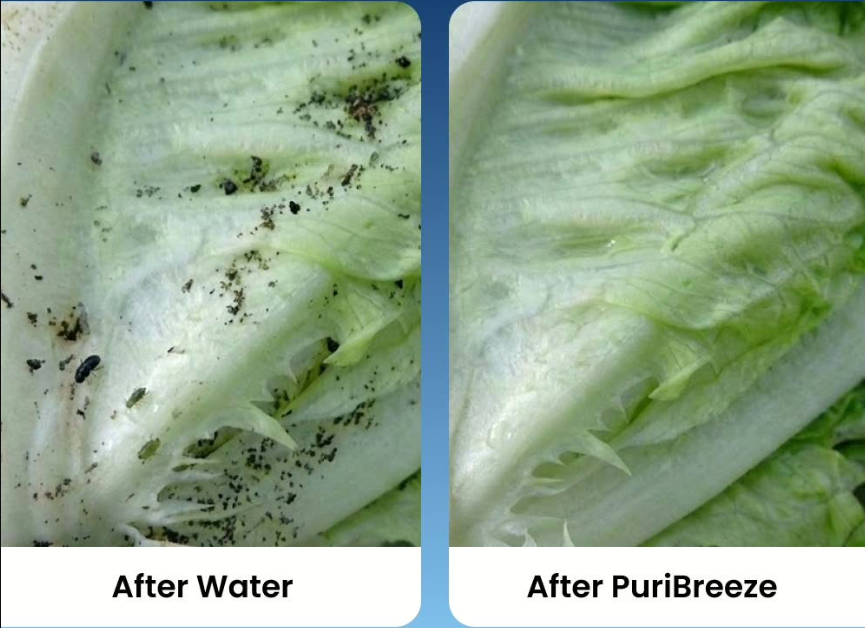PuriBreeze Produce Cleaner Benefits