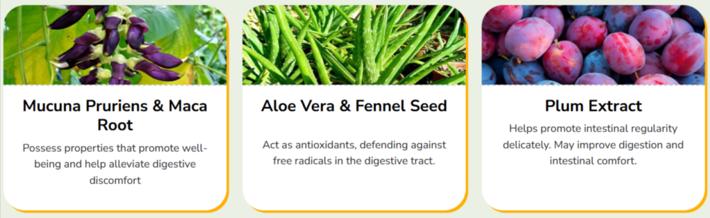 VitaliFlow ingredients