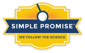 simple promise
