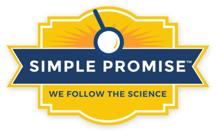simple promise