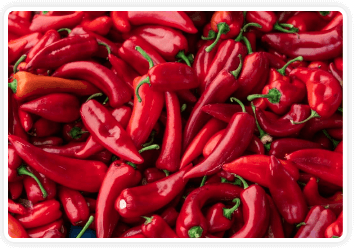Andalusian Red Pepper