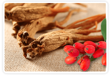 Berberine (3)