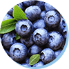 Bilberry Extract