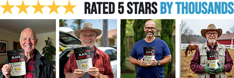 Black Wood Tea Customer Reviews