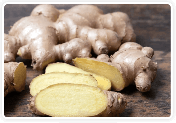 Himalayan Mountain Ginger