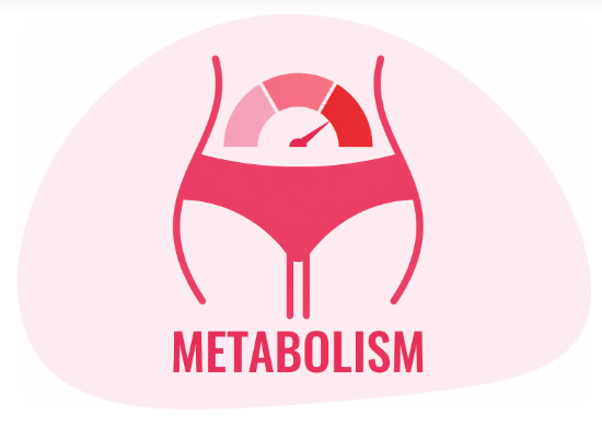 Metabolism