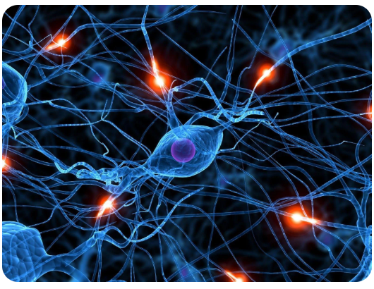Neural inflammatory cycling