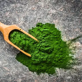 NeuroPrime - Chlorella
