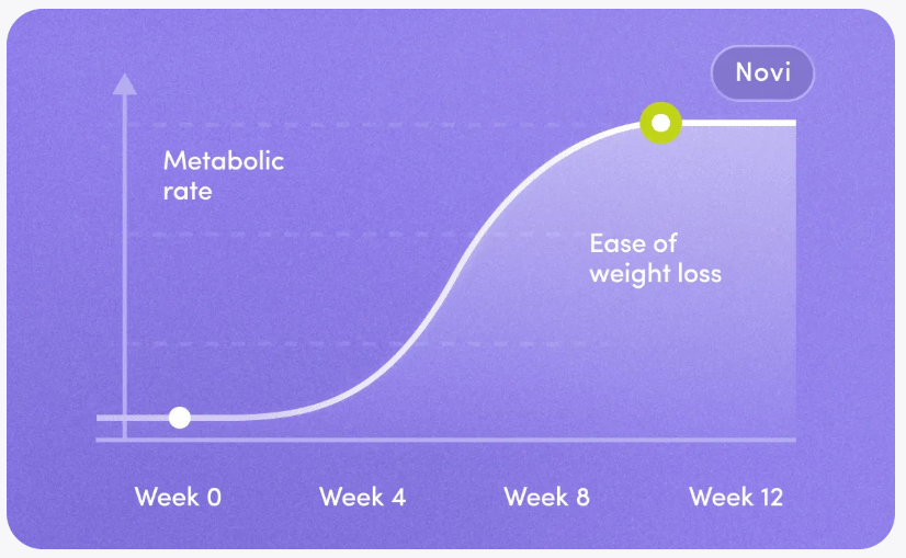 Novi GLP-1 Results timeline