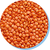Zinc
