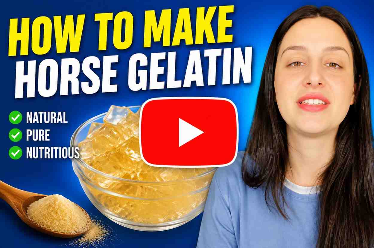 Horse Gelatin video